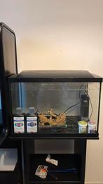 Superfish start70 aquarium, Ophalen, Zo goed als nieuw, Leeg aquarium