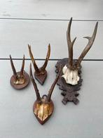 Set van 4 Geweien op Houten Schilden, Ophalen