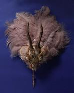 Pronkstuk reeschedel met schelpen veren en pares, Ophalen of Verzenden, Nieuw