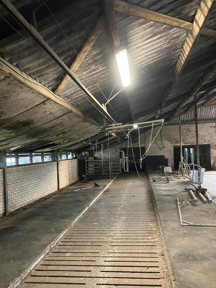 Opdrijfhek, Dieren en Toebehoren, Stalling en Weidegang