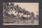 Indië Indonesië Garoet Garut Java Tjipas Palmbomen Visvijver, Ophalen of Verzenden, Voor 1920, Ongelopen, Buiten Europa