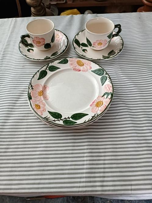 WILD Rose 2x grote koffiekoppen en 3x ontbijtbordjes, Antiek en Kunst, Antiek | Servies los, Ophalen of Verzenden