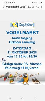 Diverse kromsnavels te koop, Dieren en Toebehoren, Meerdere dieren, Parkiet