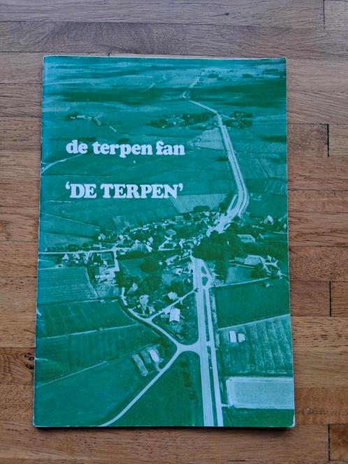 De terpen fan de terpen geschiedenis bodemvondsten info, Boeken, Geschiedenis | Stad en Regio, Zo goed als nieuw, 20e eeuw of later