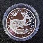 Gereserveerd voor Yvonne - Somalië - Olifant 2023, Ophalen of Verzenden, Koningin Beatrix, Zilver