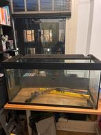 Aquarium Jewel, Dieren en Toebehoren, Ophalen, Gebruikt, Terrarium of Paludarium