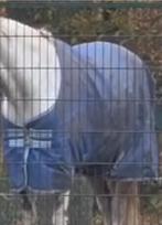 Amigo Hero xl 200 gram 6'6, Dieren en Toebehoren, Paarden en Pony's | Dekens en Dekjes, Ophalen of Verzenden, Zo goed als nieuw