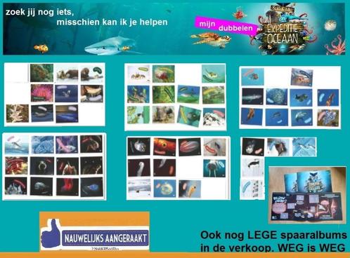 Expeditie Oceaan stickers (AH) en lege spaaralbums, Verzamelen, Supermarktacties, Albert Heijn, Ophalen of Verzenden