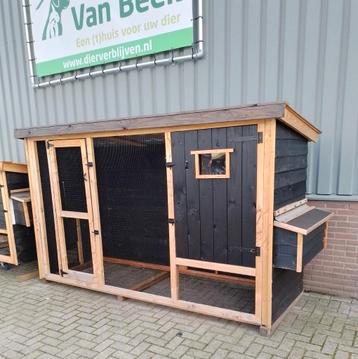 Kippenhok barnevelder hoog, 3 meter beschikbaar voor biedingen