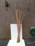 Bamboe stokken.  32 stuks. Diverse lengtes., Ophalen, Gebruikt, Minder dan 180 cm, Overige typen