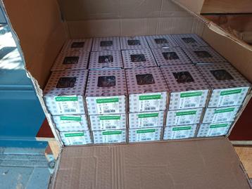 9000 inox schroeven 4x30 T20 pgb-fasteners beschikbaar voor biedingen