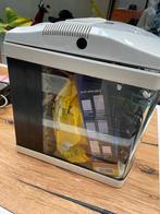 Aquatic nature Aquarium 36x36x34, Dieren en Toebehoren, Vissen | Aquaria en Toebehoren, Ophalen, Leeg aquarium