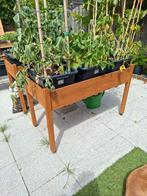 Kweekbakken, Tuin en Terras, Ophalen of Verzenden, Nieuw