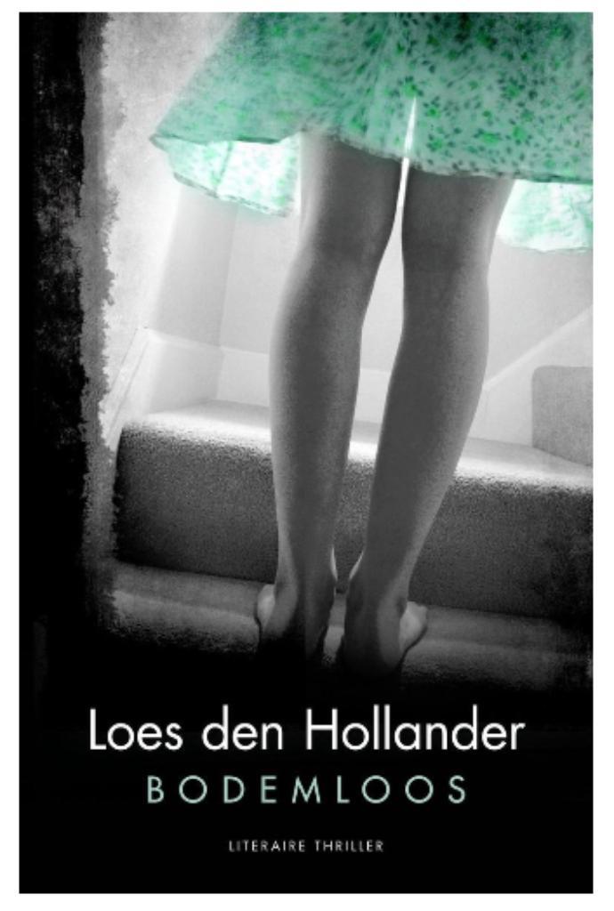Loes den Hollander - Bodemloos, Boeken, Thrillers, Zo goed als nieuw, Ophalen of Verzenden