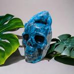 XL Apatite Crystal Skull With Iguana, Verzamelen, Ophalen of Verzenden