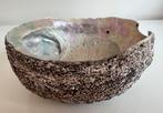Grote Abalone Parelmoer Schelp Schaal Zeeoor, Verzamelen, Ophalen of Verzenden, Schelp(en)