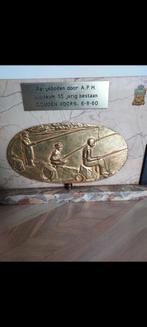 Bronzen plaquette visvereniging de Gouden voorn 35 jaar, Watersport en Boten, Ophalen of Verzenden