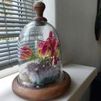 Glazen stolp met houten voet. 25 cm hoog en 15 cm breed, Ophalen of Verzenden, Zo goed als nieuw