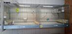 Kweek draadkooien, Dieren en Toebehoren, Vogels | Hokken en Kooien, Ophalen, Hout, Broedkooi of Kweekkooi