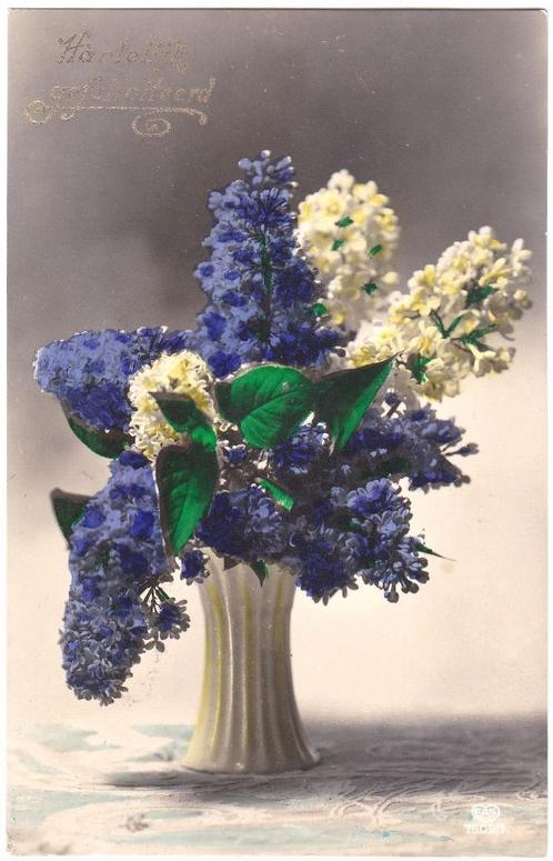Kaart 1927 - Seringen - Bloemen - Hartelijk Gefeliciteerd, Verzamelen, Ansichtkaarten | Themakaarten, Gelopen, 1920 tot 1940, Natuur