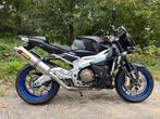 Aprilia Tuono 1000 R, Info@aprilia.nl, Sportuitlaat, Aprilia, Bedrijf