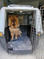 Transportbox hond extra groot, Ophalen, Gebruikt