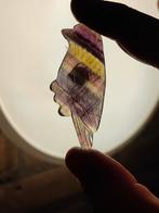 Fluoriet vogeltje, Ophalen of Verzenden