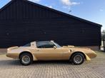 Pontiac Firebird Trans-Am 6.6 T/A in mooie staat NL kenteken, Auto's, Oldtimers, Automaat, 6600 cc, Overige kleuren, Bedrijf