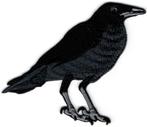 Kraai Raaf Crow stoffen opstrijk patch embleem, Verzamelen, Verzenden, Nieuw, Overige typen