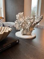 XL Faux Koraal wit / beige decoratie ornament tafel decor, Huis en Inrichting, Woonaccessoires | Overige, Ophalen of Verzenden