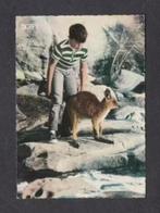 Skippy de Boskangoeroe Televisieprogramma (2)., Ophalen of Verzenden, 1960 tot 1980, Gelopen, Cultuur en Media