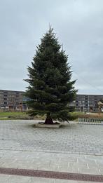 XXL grote kerstbomen 10 meter +, Diversen, Kerst, Ophalen