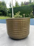Brons / goudkleurig bloempot Intratuin, Ophalen, Minder dan 30 cm, Minder dan 60 cm, Rond