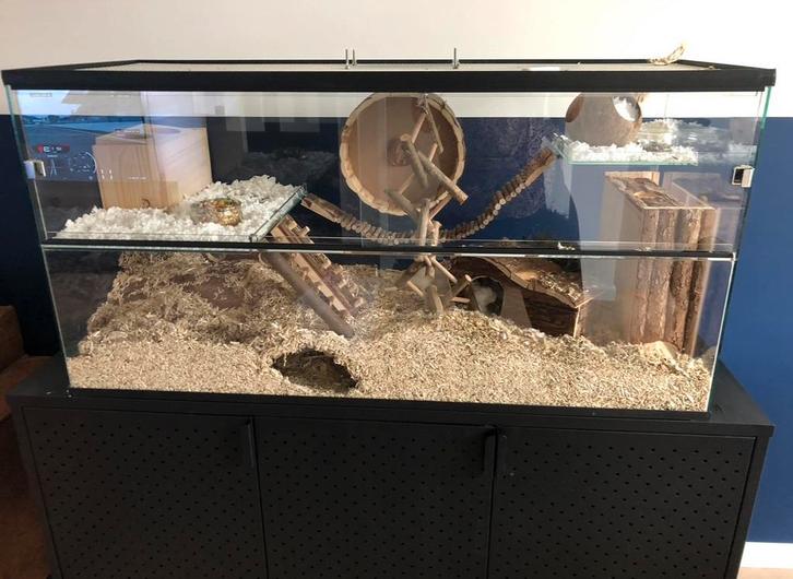 Terrarium, Dieren en Toebehoren, Reptielen en Amfibieën | Toebehoren, Ophalen