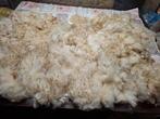 Ruwe wol Bleu du Maine schaap, voor spinnen, Ophalen of Verzenden, Nieuw, Spinwol