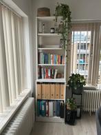 IKEA HAVSTA Bookcase, Ophalen, Gebruikt