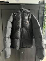 Dickies Jas XXS (valt als XS) - Goede Staat, Kleding | Heren, Jassen | Winter, Ophalen of Verzenden, Gedragen, Maat 46 (S) of kleiner