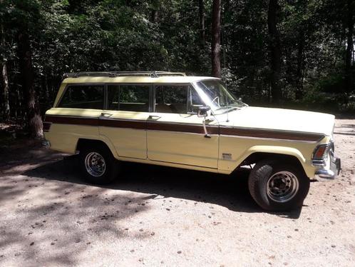 Jeep Wagoneer 5.9 AUT 4WD 1972, Auto's, Jeep, Particulier, Wagoneer, LPG, SUV of Terreinwagen, Automaat, Geïmporteerd, Overige kleuren