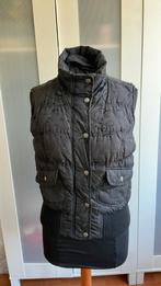 Bodywarmer zwart mt S M, Ophalen of Verzenden, Gedragen, Maat 38/40 (M), Zwart