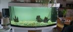 Aquarium Juwel vison 260, Ophalen, Gebruikt, Gevuld zoetwateraquarium