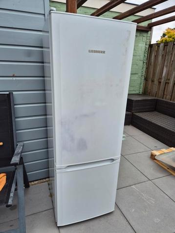 Liebherr CU 2831-22 beschikbaar voor biedingen