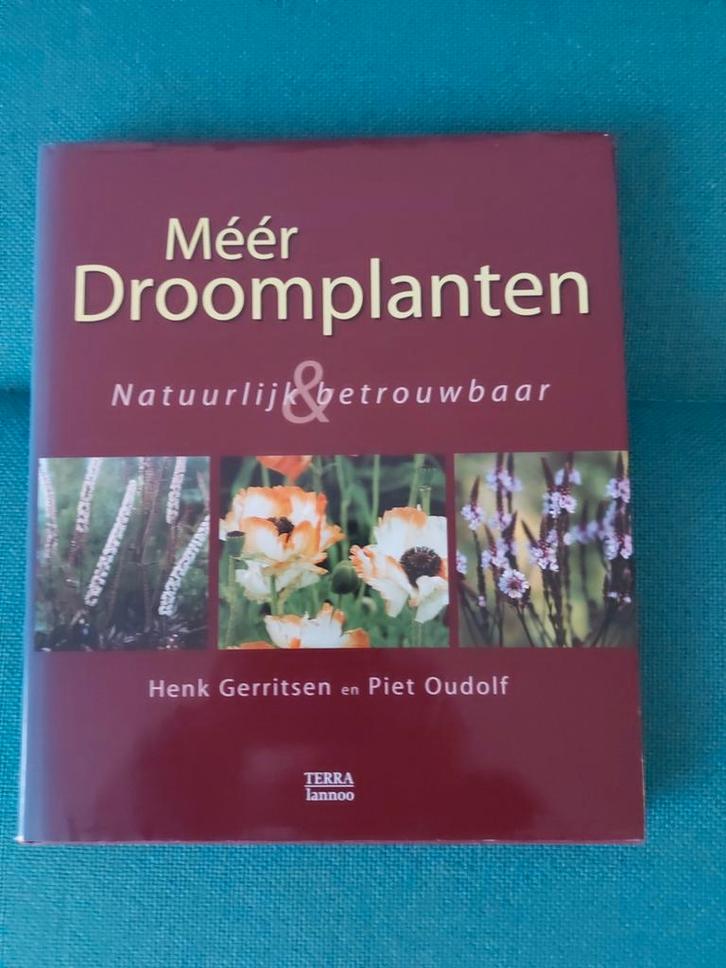 Méér Droomplanten - Henk Gerritsen & Piet Oudolf, Boeken, Wonen en Tuinieren, Zo goed als nieuw, Tuinieren en Tuinplanten, Ophalen of Verzenden