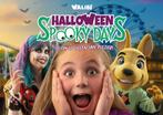 Walibi spooky days tickets., Tickets en Kaartjes, Twee personen, Ticket of Toegangskaart