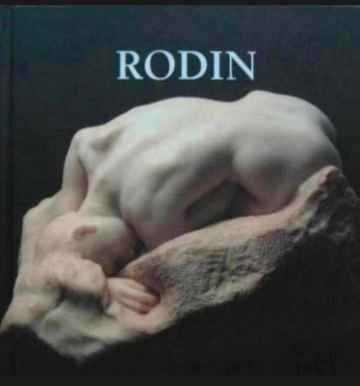 AUGUSTE RODIN Monografie hardcover Nederlands, Boeken, Kunst en Cultuur | Beeldend, Zo goed als nieuw, Beeldhouwkunst, Verzenden