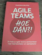 Francisca Dalstra - Agile teams, hoe dan?!, Ophalen of Verzenden, Zo goed als nieuw, Francisca Dalstra