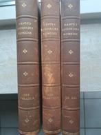 driedelig DANTE'S GODDELIJKE KOMEDIE, Gelezen, Ophalen of Verzenden, Christendom | Katholiek, Dante