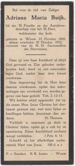 Adriana Maria Buijk 1868 Wouw + 1930 Wouw, bijna 62 jaar oud, Verzenden