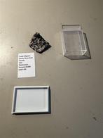 IJstijd Fossiele Boney Skute Pleistoceen Florida, Verzamelen, Mineralen en Fossielen, Ophalen of Verzenden, Mineraal