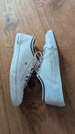 Tommy Hilfiger lage sneakers 45, Wit, Tommy Hilfiger, Ophalen of Verzenden, Gedragen