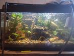 Juwel aquarium 80x35x40 compleet, Dieren en Toebehoren, Vissen | Aquaria en Toebehoren, Ophalen, Gebruikt, Leeg aquarium